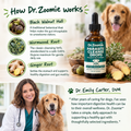 Dr. Zoomie™ Guts Clean Supplement