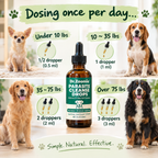 Dr. Zoomie™ Guts Clean Supplement
