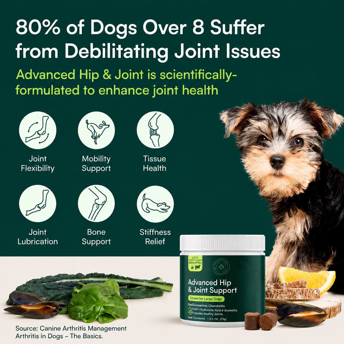 Hip & Joint Chews for Dogs