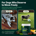 Hip & Joint Chews for Dogs