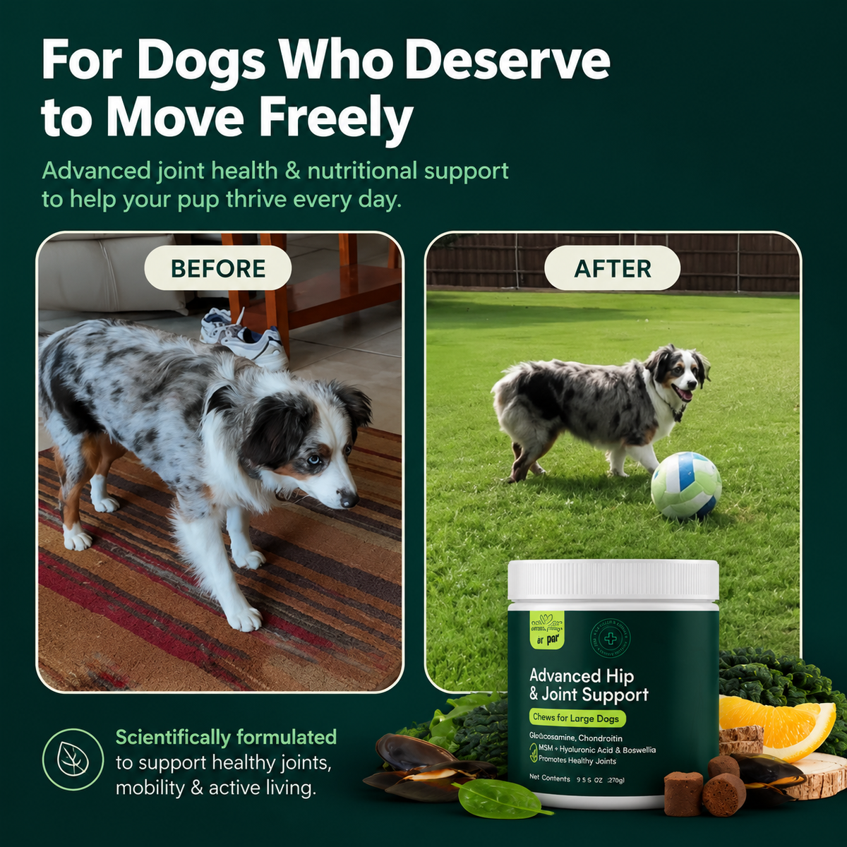 Hip & Joint Chews for Dogs